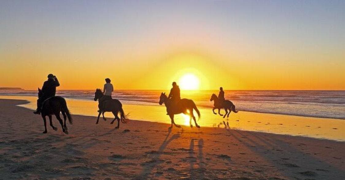 Escursioni Cavalcata - Avventura a Cavallo nel Deserto del Sinai