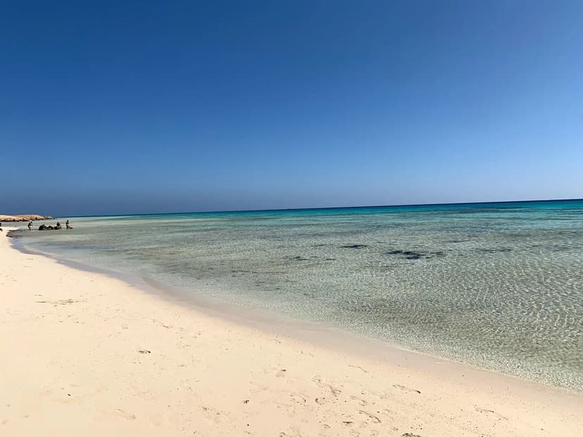 Sharm Elulli  