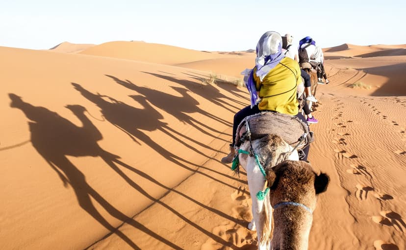 Escursione Safari nel Deserto