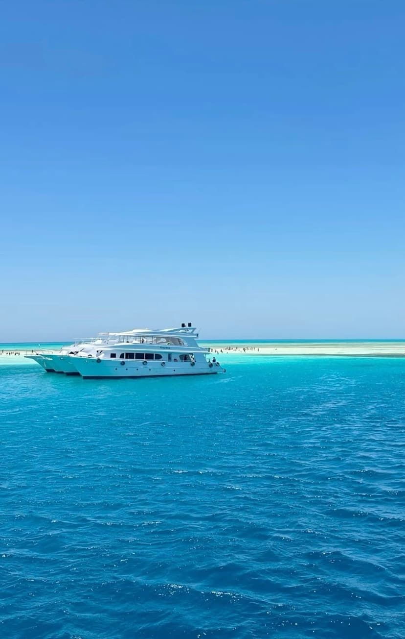 Escursione all'Isola Bianca - L'Isola che Non C'è