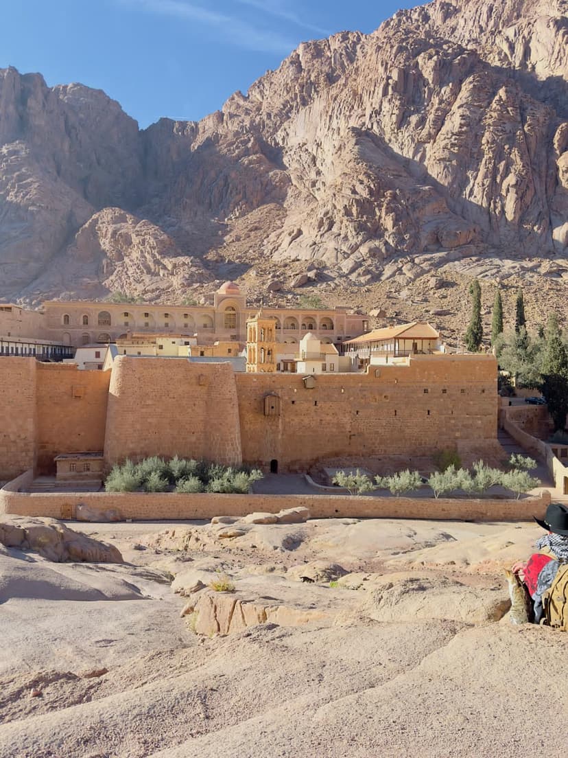 Escursione a Santa Caterina & Dahab