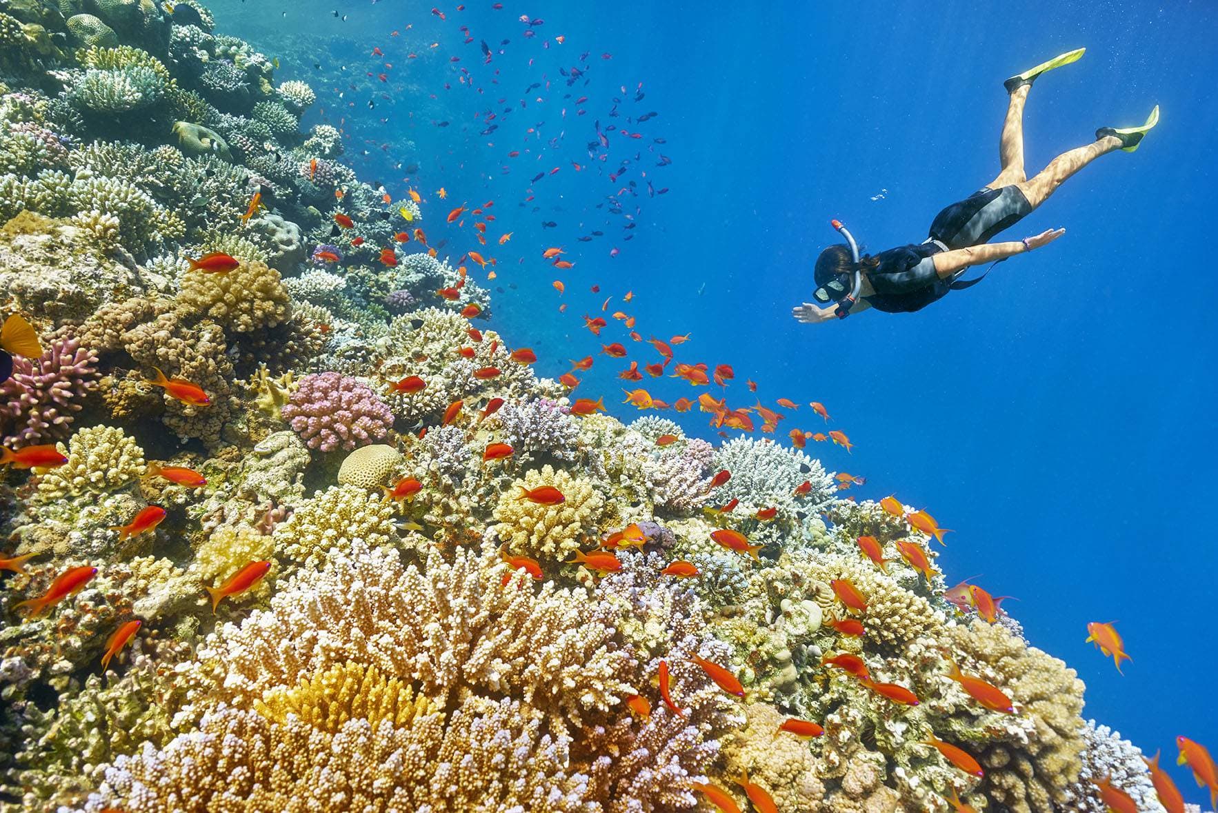 Snorkeling all’Isola di Giftun