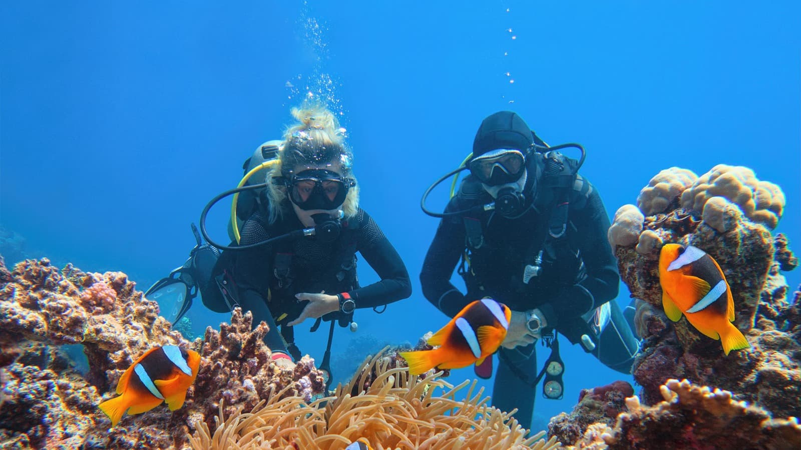 Corso Sub con Certificazione PADI – Marsa Alam