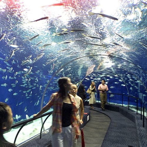 Escursione all’Acquario di Hurghada con Trasporto