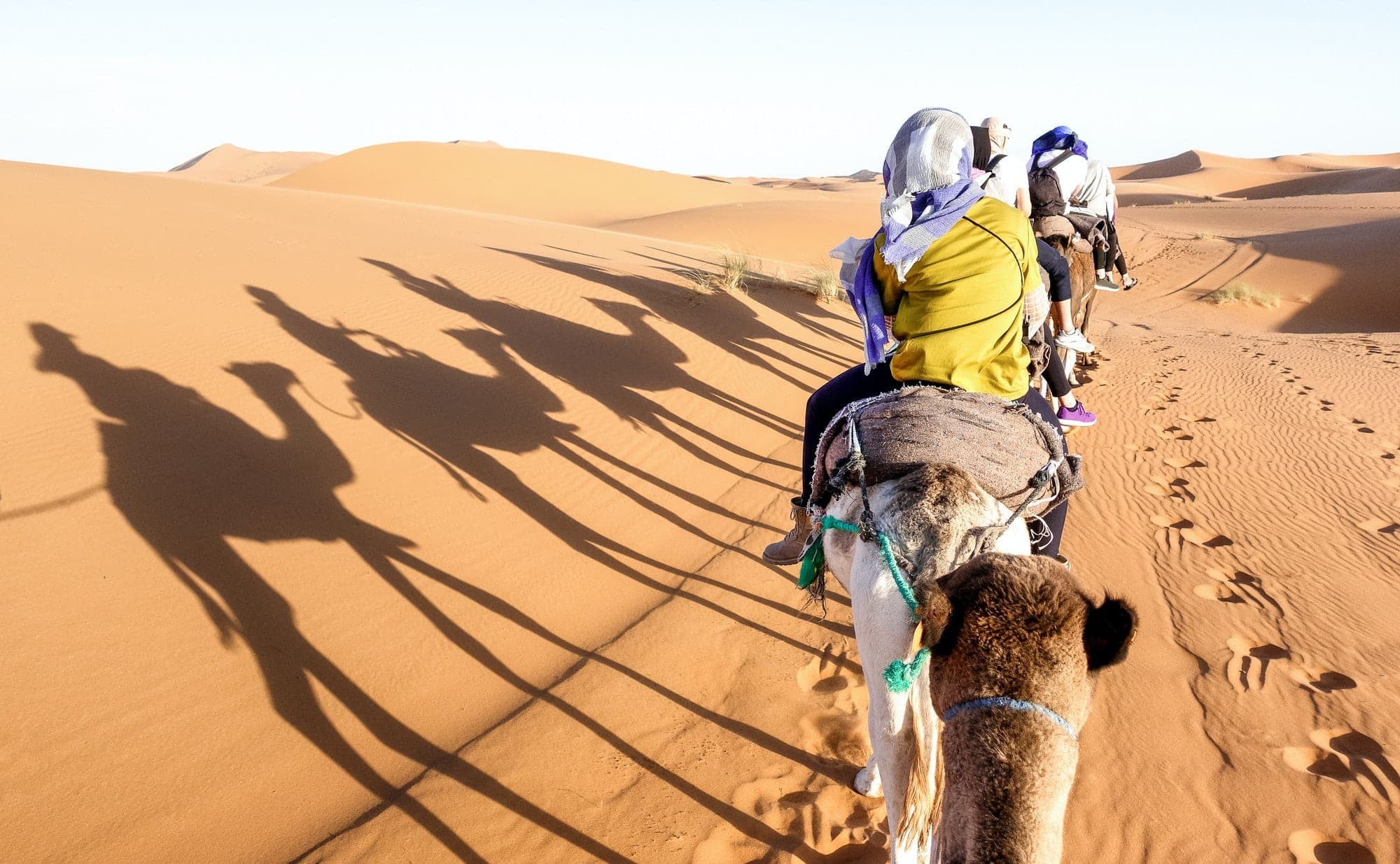 Escursione Safari nel Deserto