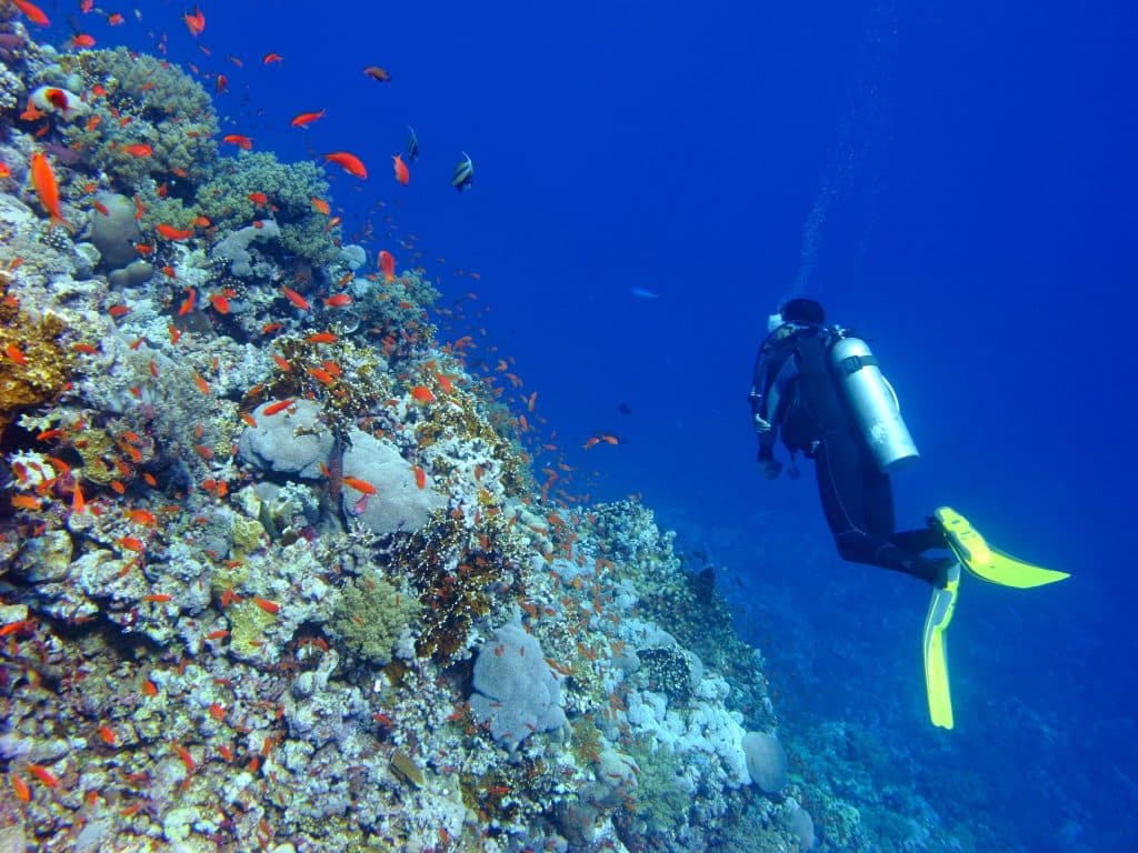 Escursione delI’immersioni da Marsa Alam
