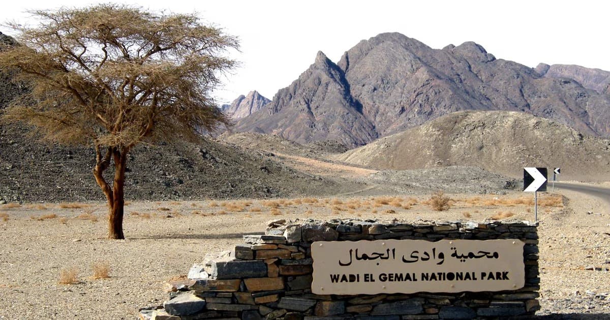 Safari a Wadi El Gemal da Marsa Alam
