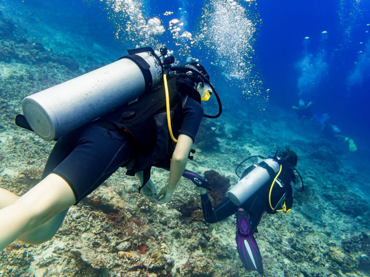 escursione snorkeling Abu dabab