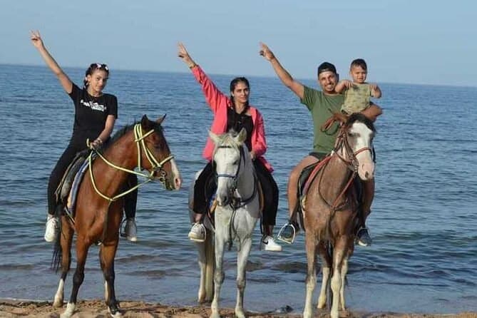 Escursione a Cavallo a Sharm El Sheikh: al Tramonto sulla Spiaggia