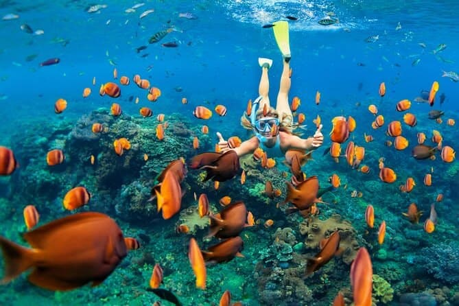 Vacanze Egitto: Perché Sharm El Sheikh è la Destinazione Ideale