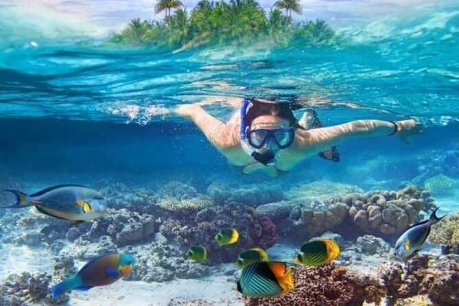 Escursione a Ras Mohammed: Snorkeling nel Parco Nazionale più Bello