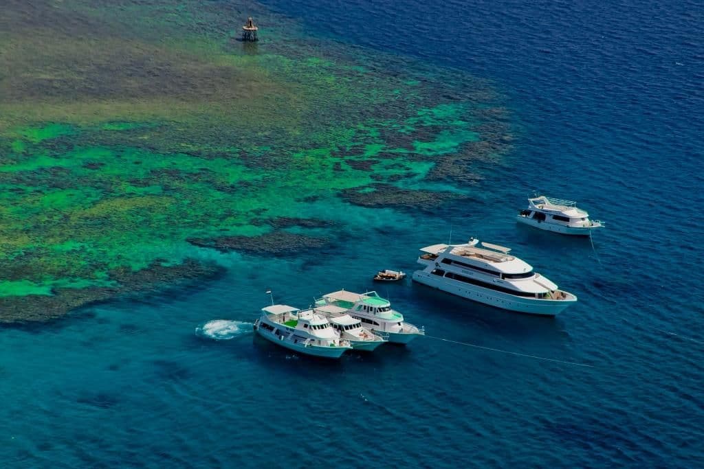 Titolo dell'articolo: Guida al turismo in Egitto