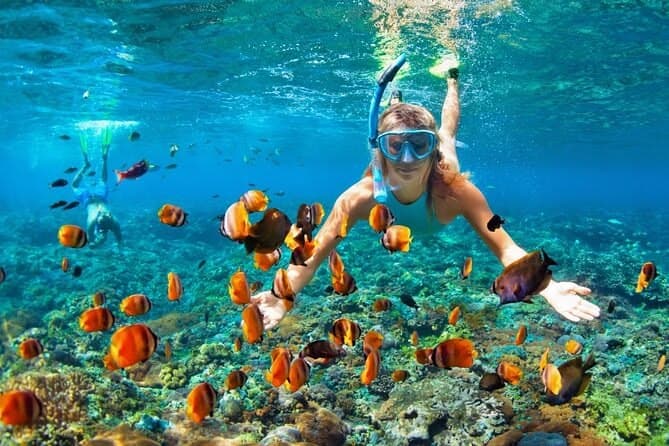 Escursioni a Sharm El Sheikh: Le Migliori Esperienze