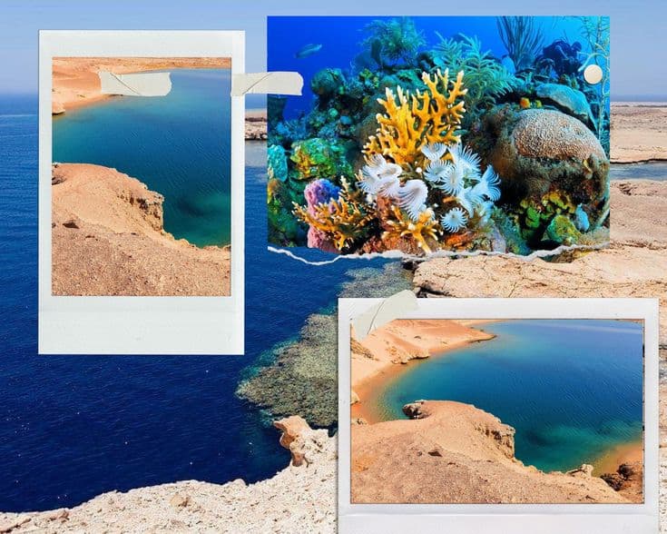 Escursioni a Ras Mohammed: Guida al Mar Rosso