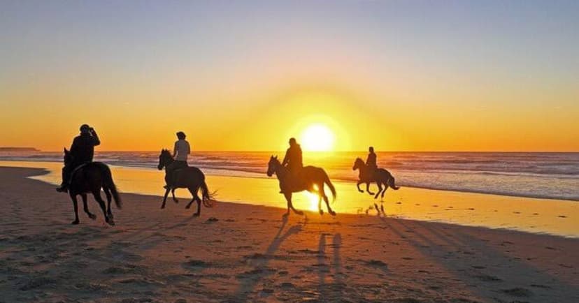 Escursioni Cavalcata - Avventura a Cavallo nel Deserto del Sinai